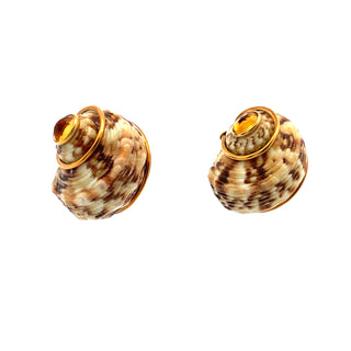 Seaman Schepps Citrine Shell Earrings