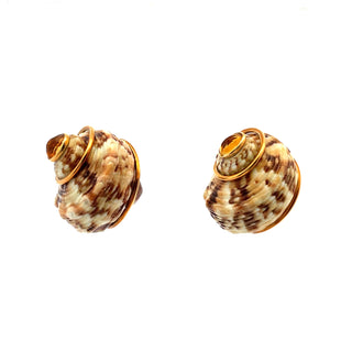 Seaman Schepps Citrine Shell Earrings