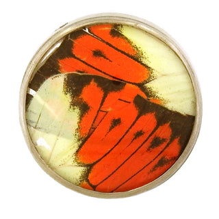 Jennifer Trask: Butterfly Wing Pendant