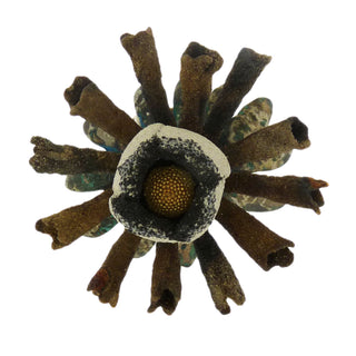 Arata Fuchi: Homage 2 Ring