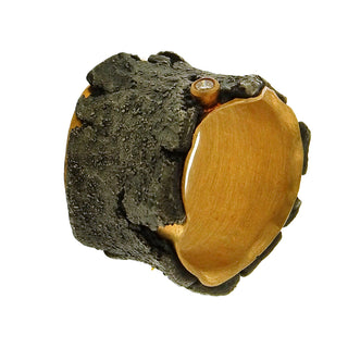 Michael Jensen: Talentum Band