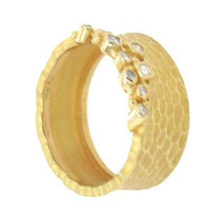 Barbara Heinrich: Diamond Glacier Band