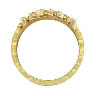 Barbara Heinrich: Diamond Glacier Band