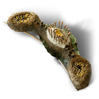 Arata Fuchi: Hyphosis 2 Brooch