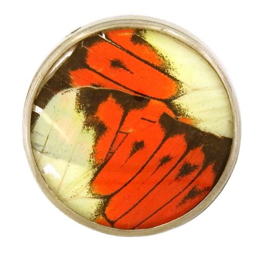 Jennifer Trask: Butterfly Wing Pendant - Image 3